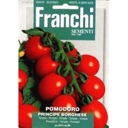 Tomaat -Pomodoro principe...