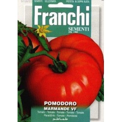 Tomaat -Pomodoro marmande