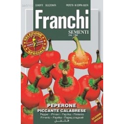 Paprika -Peperone-picante...